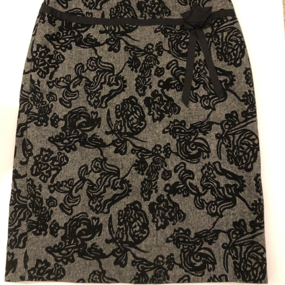 AnnTaylor Skirt